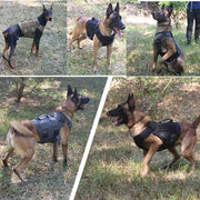 Tactical No-Pull Dog Harness for Large Dogs