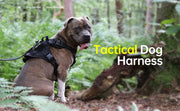Tactical No-Pull Dog Harness for Large Dogs