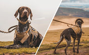 Tactical No-Pull Dog Harness for Large Dogs
